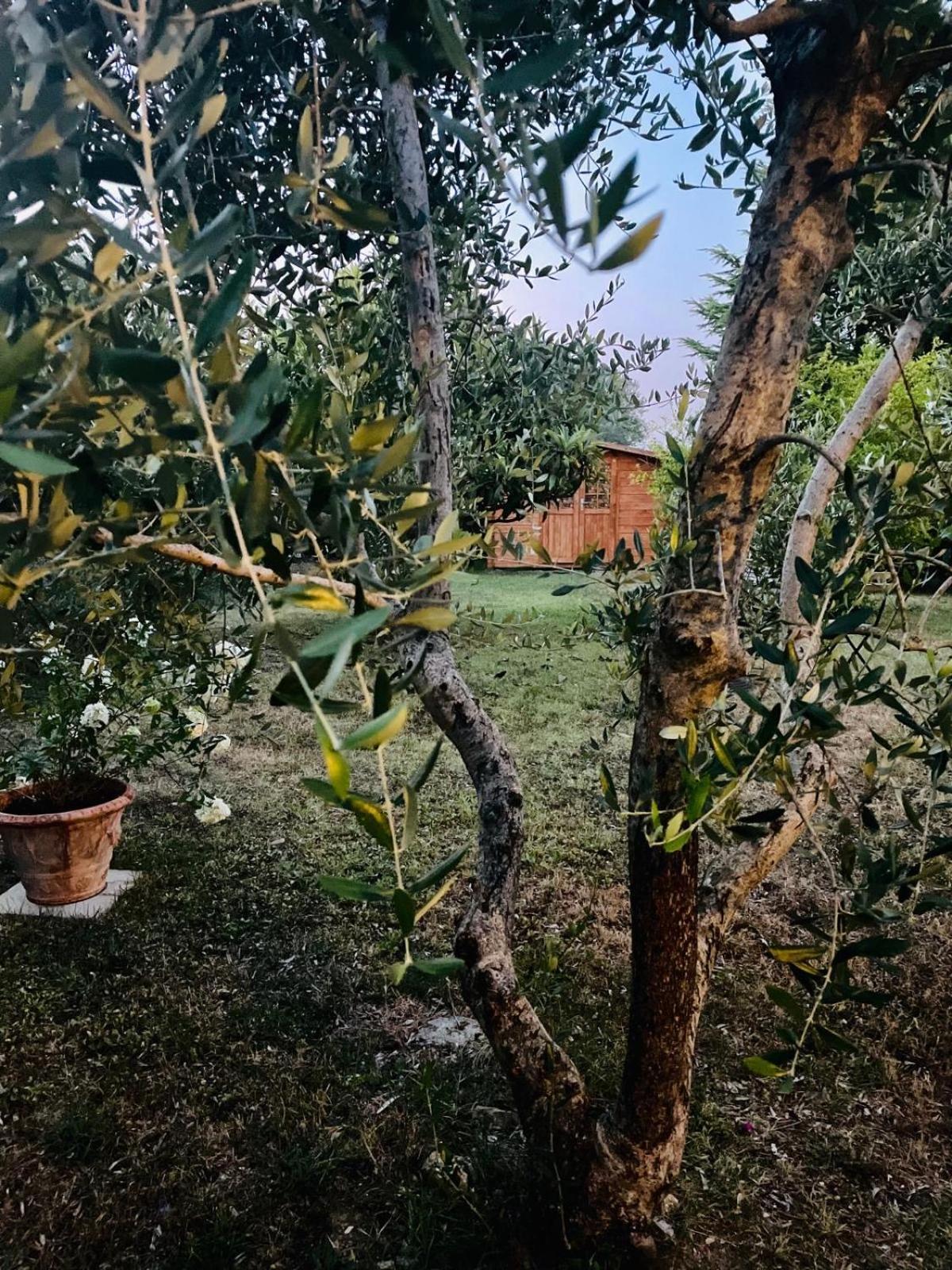 Rosso Del Chianti Panzió Panzano in Chianti Kültér fotó